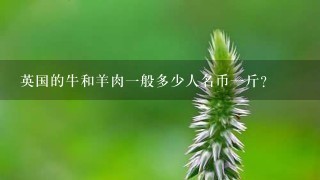 英国的牛和羊肉1般多少人名币1斤? 英国的牛和羊肉1般多少人名币1斤?