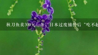 秋刀鱼卖300元1条,日本过度捕捞后“吃不起”,居 秋刀鱼卖300元1条,日本过度捕捞后“吃不起”,居