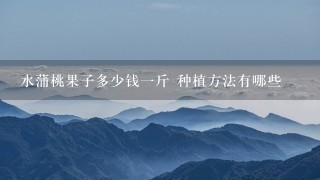水蒲桃果子多少钱1斤 种植方法有哪些 水蒲桃果子多少钱1斤 种植方法有哪些