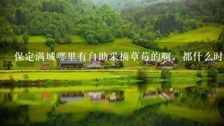保定满城哪里有自助采摘草莓的啊,都什么时候采摘合适呢,多少钱啊,怎么去呢? 保定满城哪里有自助采摘草莓的啊,都什么时候采摘合适呢,多少钱啊,怎么去呢?