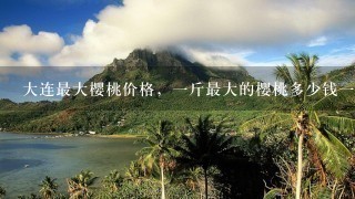 大连最大樱桃价格,1斤最大的樱桃多少钱1斤? 大连最大樱桃价格,1斤最大的樱桃多少钱1斤?