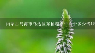 内蒙古鸟海市乌达区东仙超市牛肉干多少钱1斤? 内蒙古鸟海市乌达区东仙超市牛肉干多少钱1斤?