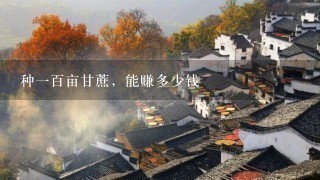种1百亩甘蔗,能赚多少钱 种1百亩甘蔗,能赚多少钱