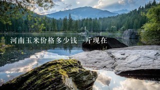 河南玉米价格多少钱1斤现在 河南玉米价格多少钱1斤现在