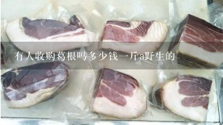 有人收购葛根吗多少钱1斤a野生的 有人收购葛根吗多少钱1斤a野生的