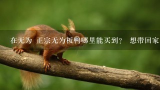 在无为 正宗无为板鸭哪里能买到? 想带回家点特产 在无为 正宗无为板鸭哪里能买到? 想带回家点特产