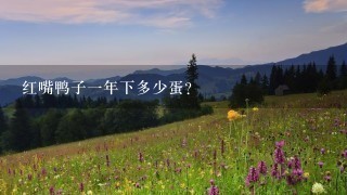 红嘴鸭子1年下多少蛋? 红嘴鸭子1年下多少蛋?