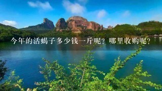 今年的活蝎子多少钱1斤呢?哪里收购呢? 今年的活蝎子多少钱1斤呢?哪里收购呢?