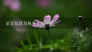 正宗长江刀鱼多少钱1斤 正宗长江刀鱼多少钱1斤