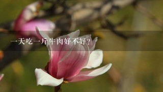 1天吃1斤牛肉好不好? 1天吃1斤牛肉好不好?