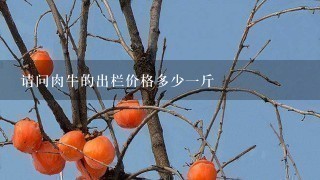 请问肉牛的出栏价格多少1斤 请问肉牛的出栏价格多少1斤