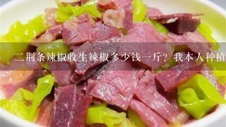 2荆条辣椒收生辣椒多少钱1斤?我本人种植2荆条有1百亩!有谁在收?请帮助1下 2荆条辣椒收生辣椒多少钱1斤?我本人种植2荆条有1百亩!有谁在收?请帮助1下