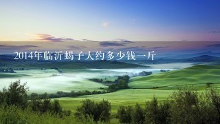 2014年临沂蝎子大约多少钱1斤 2014年临沂蝎子大约多少钱1斤