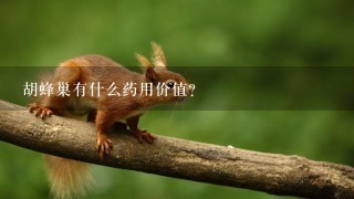 胡蜂巢有什么药用价值? 胡蜂巢有什么药用价值?