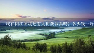 现在阳江闸坡还有大树菠萝卖吗?多少钱1斤? 现在阳江闸坡还有大树菠萝卖吗?多少钱1斤?