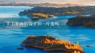 手工羊肉馅饺子301斤贵吗 手工羊肉馅饺子301斤贵吗