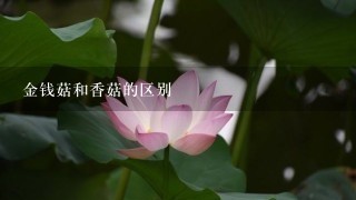 金钱菇和香菇的区别 金钱菇和香菇的区别