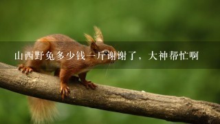 山西野兔多少钱1斤谢谢了,大神帮忙啊 山西野兔多少钱1斤谢谢了,大神帮忙啊