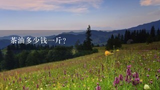 茶油多少钱1斤？