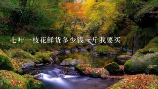7叶1枝花鲜货多少钱1斤我要买 7叶1枝花鲜货多少钱1斤我要买