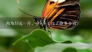 肉为33元1斤,1斤手工饺子挣多少钱? 肉为33元1斤,1斤手工饺子挣多少钱?