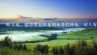 听人说,超市里卖的龙利鱼是巴沙鱼,对人有害,真的 听人说,超市里卖的龙利鱼是巴沙鱼,对人有害,真的
