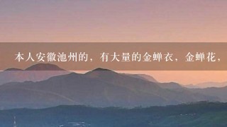 本人安徽池州的,有大量的金蝉衣,金蝉花,请问哪里有收购这些药材的? 本人安徽池州的,有大量的金蝉衣,金蝉花,请问哪里有收购这些药材的?