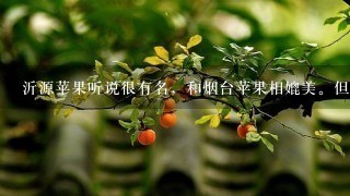 沂源苹果听说很有名,和烟台苹果相媲美。但是为什么价格不如烟台苹果好呢? 沂源苹果听说很有名,和烟台苹果相媲美。但是为什么价格不如烟台苹果好呢?