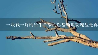 1块钱1斤的给牛羊喂的巴基斯坦玫瑰盐是真的吗 1块钱1斤的给牛羊喂的巴基斯坦玫瑰盐是真的吗