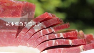 淡水鲨鱼养殖前景 淡水鲨鱼养殖前景