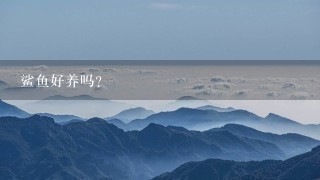 鲨鱼好养吗? 鲨鱼好养吗?