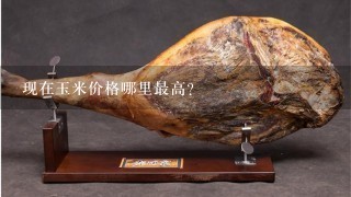 现在玉米价格哪里最高? 现在玉米价格哪里最高?