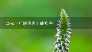26元1斤的猪肉干能吃吗