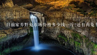 目前家养野兔市场价格多少钱1斤?还有肉兔多少???急 目前家养野兔市场价格多少钱1斤?还有肉兔多少???急