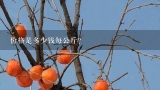 价格是多少钱每公斤？