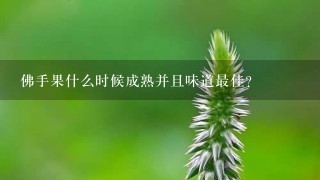 佛手果什么时候成熟并且味道最佳?