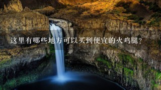 这里有哪些地方可以买到便宜的火鸡腿?