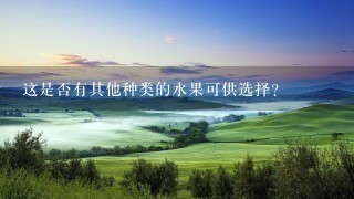 这是否有其他种类的水果可供选择?