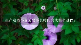 生产这些小麦需要多长时间完成整个过程?