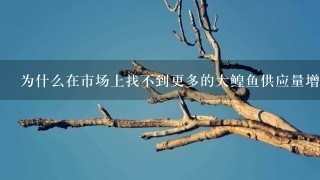 为什么在市场上找不到更多的大鳇鱼供应量增加时它们的价格却上涨了这么多?