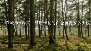 在城市A购买一只厘米长的白仓鱼需要多少钱?