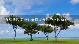 有哪些因素会影响椴树蜜的价格波动?