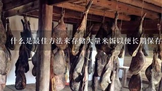 什么是最佳方法来存储大量米饭以便长期保存吗?