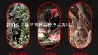 我们应该选择哪种品种或品牌吗?