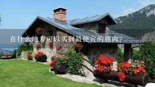 在什么地方可以买到最便宜的鹿肉?
