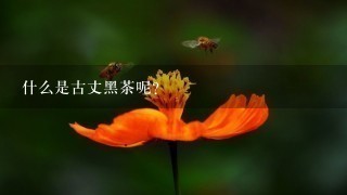 什么是古丈黑茶呢?
