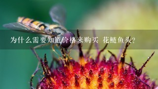 为什么需要知道价格来购买