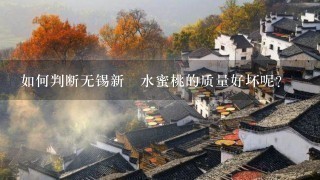 如何判断无锡新鮮水蜜桃的质量好坏呢?