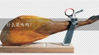 什么是火鸡?
