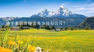 佛手果的价格是多少钱每公斤?